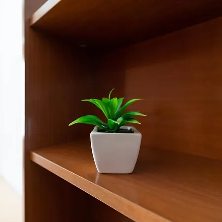 Apartment Lilla *